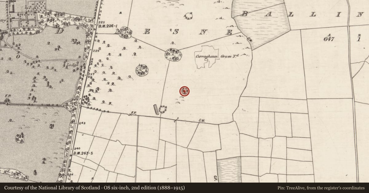 Ordnance Survey six-inch map, 2nd edition (1888–1915) covering the location of Designed landscape - tree-ring, Windfield Demesne, County Galway, with a pin at the register's coordinates