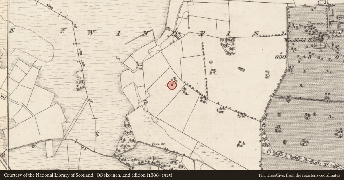 Ordnance Survey six-inch map, 2nd edition (1888–1915) covering the location of Designed landscape feature, Windfield Demesne, County Galway, with a pin at the register's coordinates