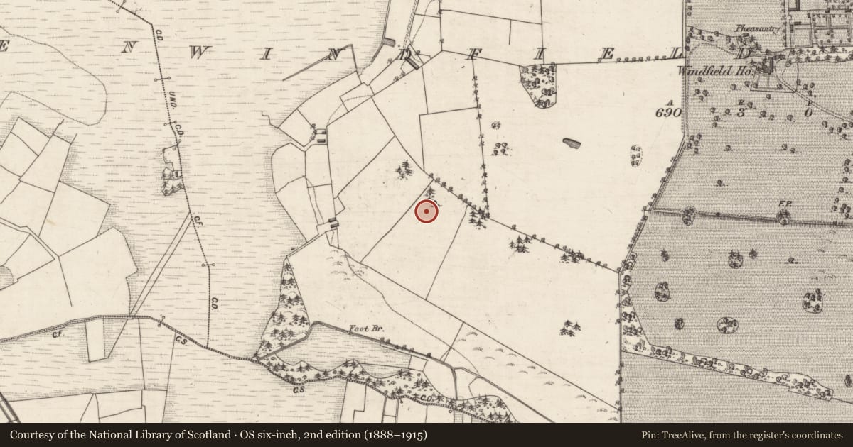 Ordnance Survey six-inch map, 2nd edition (1888–1915) covering the location of Designed landscape feature, Windfield Demesne, County Galway, with a pin at the register's coordinates
