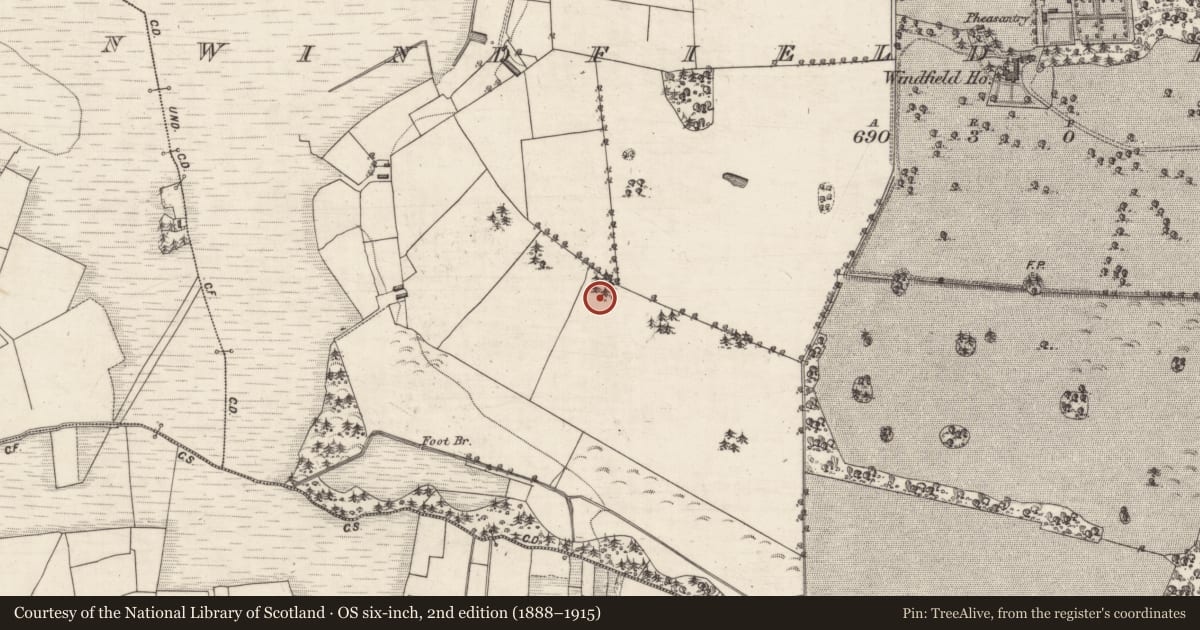 Ordnance Survey six-inch map, 2nd edition (1888–1915) covering the location of Designed landscape feature, Windfield Demesne, County Galway, with a pin at the register's coordinates
