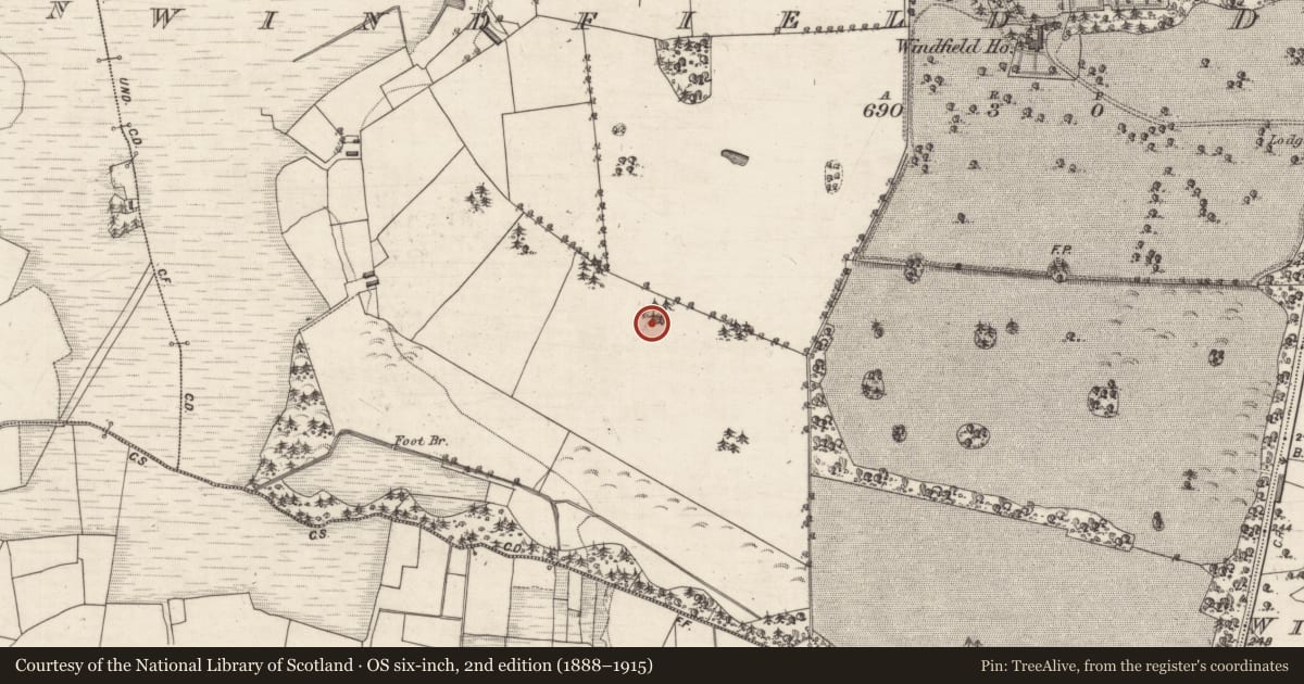 Ordnance Survey six-inch map, 2nd edition (1888–1915) covering the location of Designed landscape feature, Windfield Demesne, County Galway, with a pin at the register's coordinates