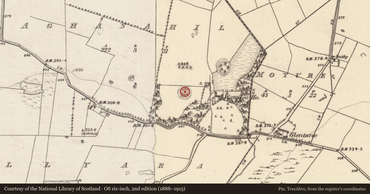 Ordnance Survey six-inch map, 2nd edition (1888–1915) covering the location of Ringfort - unclassified, Aghanahil, County Galway, with a pin at the register's coordinates