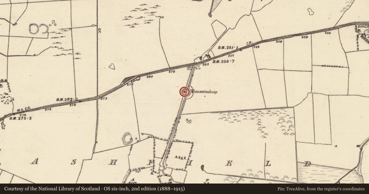 Ordnance Survey six-inch map, 2nd edition (1888–1915) covering the location of Ringfort - unclassified, Ashfield, County Galway, with a pin at the register's coordinates