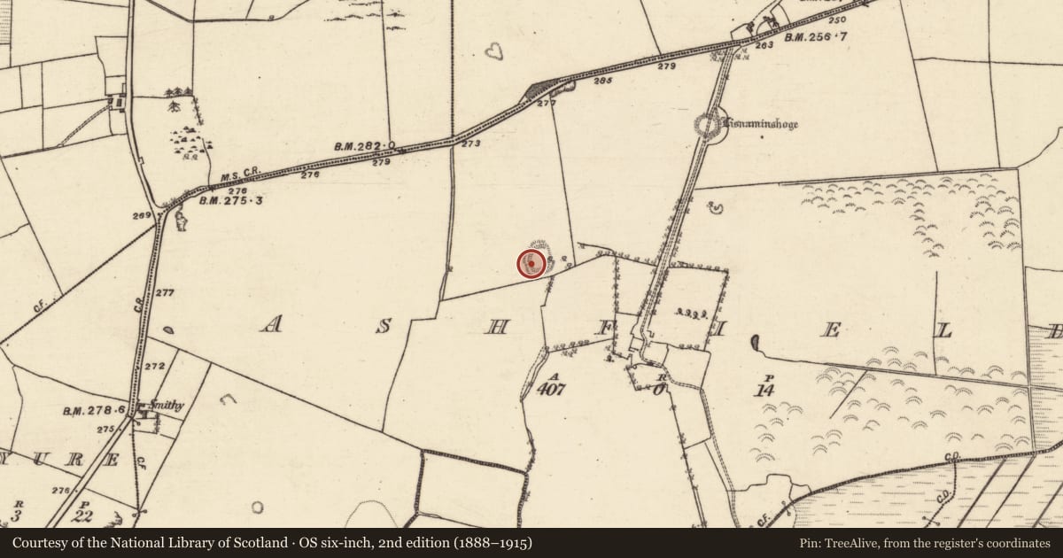 Ordnance Survey six-inch map, 2nd edition (1888–1915) covering the location of Souterrain, Ashfield, County Galway, with a pin at the register's coordinates