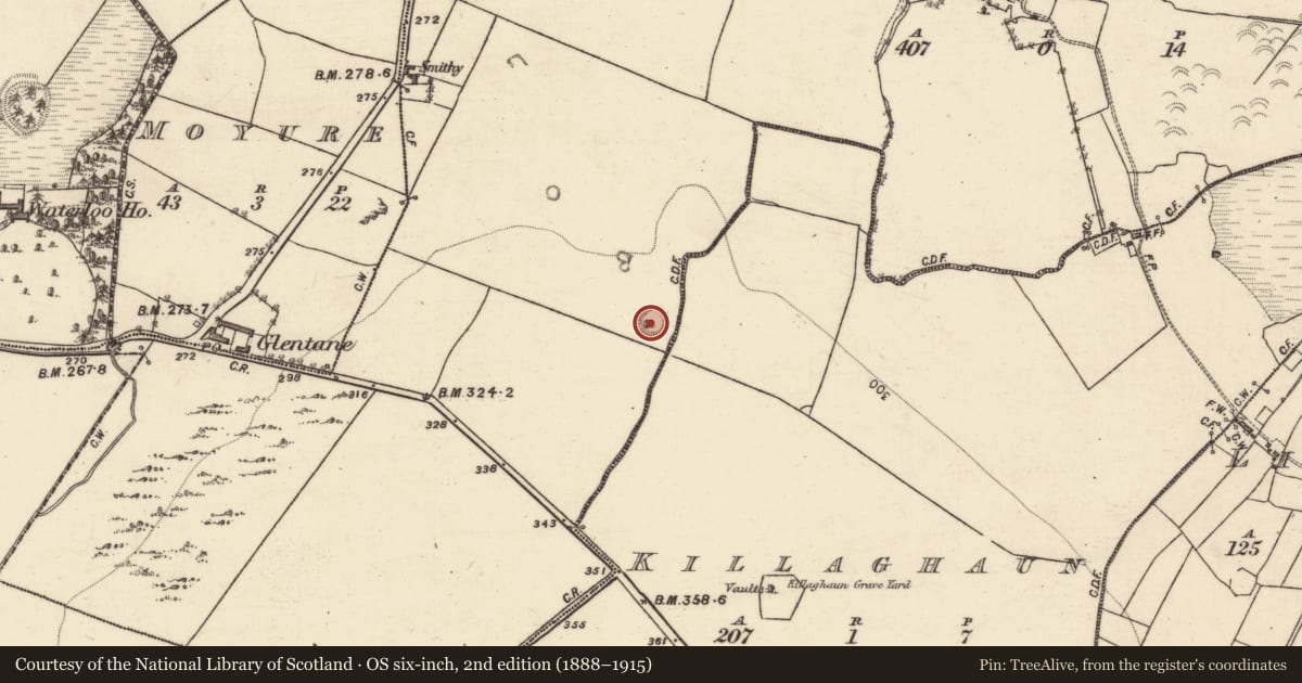 Ordnance Survey six-inch map, 2nd edition (1888–1915) covering the location of Enclosure, Ashfield, County Galway, with a pin at the register's coordinates