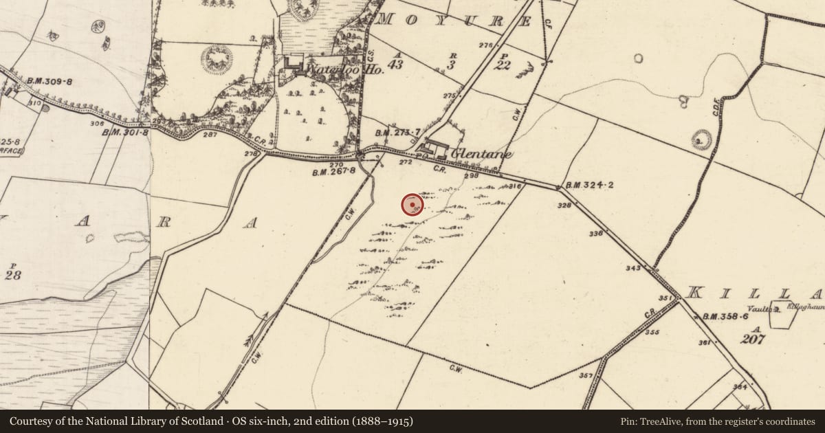 Ordnance Survey six-inch map, 2nd edition (1888–1915) covering the location of Quarry, Ashfield, County Galway, with a pin at the register's coordinates