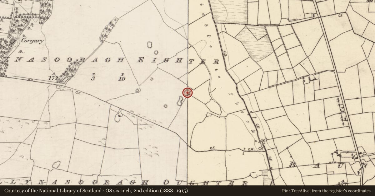 Ordnance Survey six-inch map, 2nd edition (1888–1915) covering the location of Quarry, Ballynasooragh Eighter, County Galway, with a pin at the register's coordinates