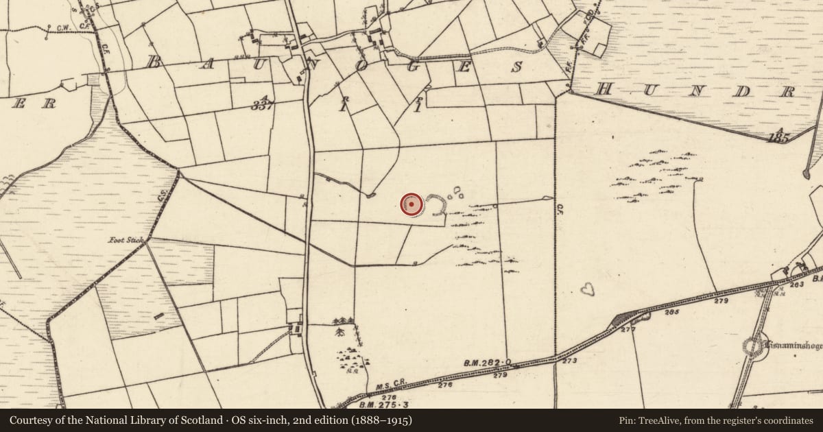 Ordnance Survey six-inch map, 2nd edition (1888–1915) covering the location of Ringfort - rath, Baunoges, County Galway, with a pin at the register's coordinates