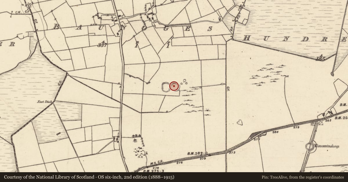 Ordnance Survey six-inch map, 2nd edition (1888–1915) covering the location of Ringfort - rath, Baunoges, County Galway, with a pin at the register's coordinates