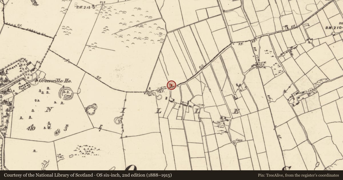 Ordnance Survey six-inch map, 2nd edition (1888–1915) covering the location of Ritual site - holy well, Belderny South, County Galway, with a pin at the register's coordinates