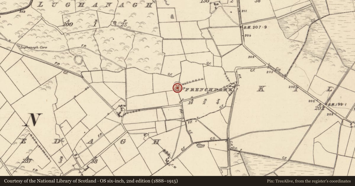 Ordnance Survey six-inch map, 2nd edition (1888–1915) covering the location of Children's burial ground, Frenchpark, Bredagh, County Galway, with a pin at the register's coordinates