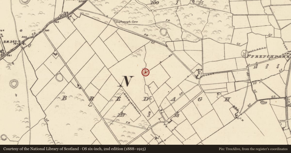 Ordnance Survey six-inch map, 2nd edition (1888–1915) covering the location of Earthwork, Bredagh, County Galway, with a pin at the register's coordinates