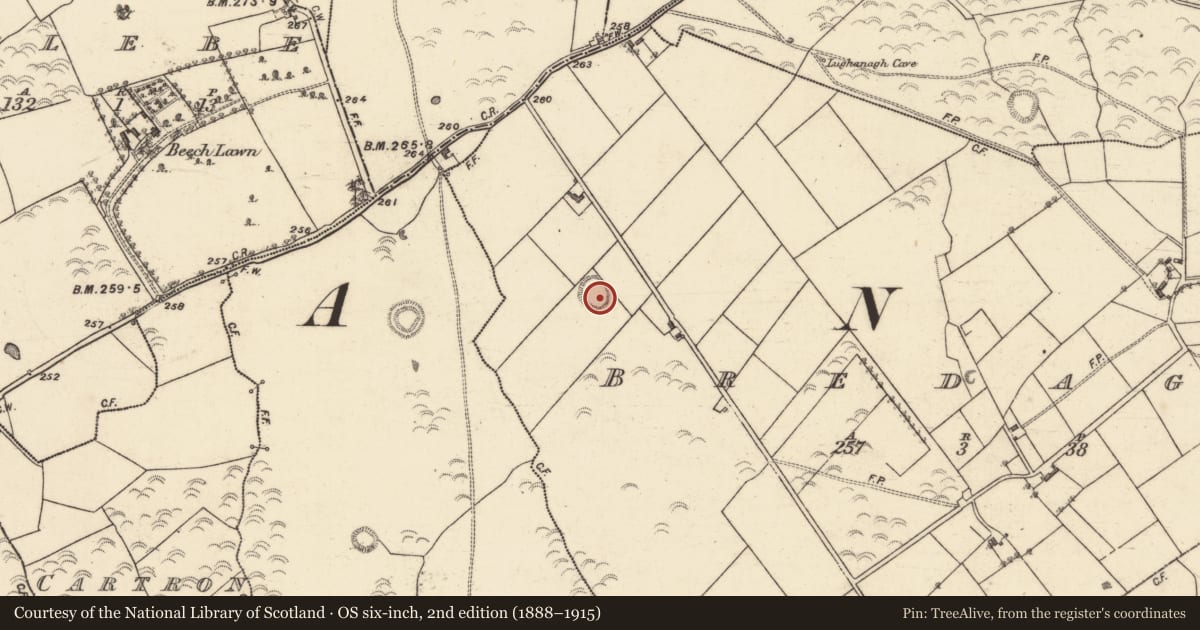 Ordnance Survey six-inch map, 2nd edition (1888–1915) covering the location of Ringfort - rath, Bredagh, County Galway, with a pin at the register's coordinates