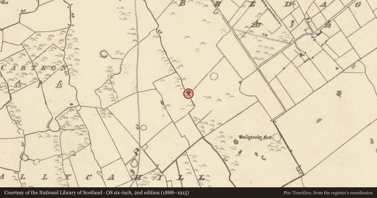 Ordnance Survey six-inch map, 2nd edition (1888–1915) covering the location of Quarry, Bredagh, County Galway, with a pin at the register's coordinates