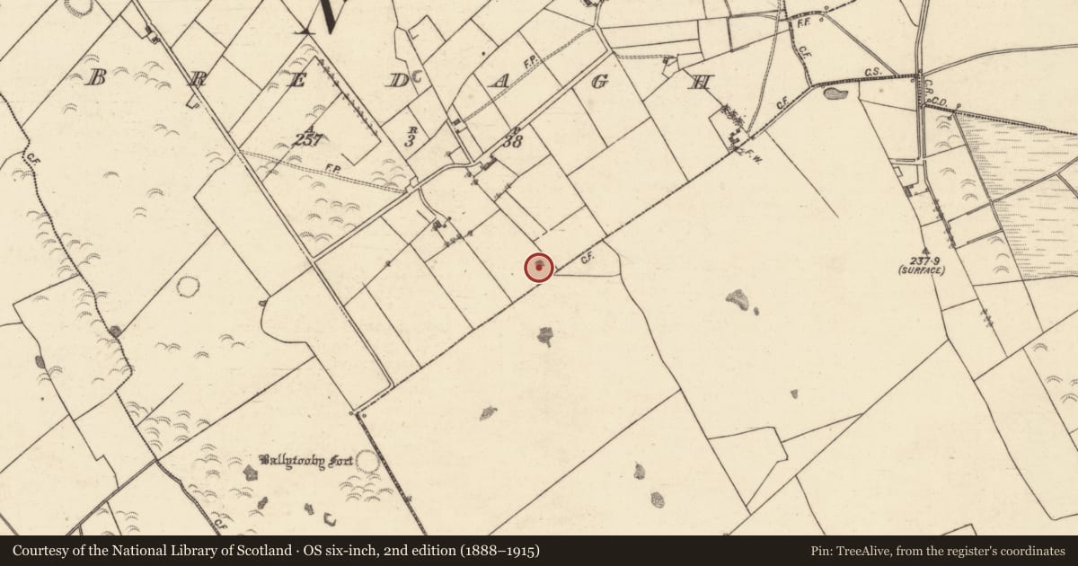 Ordnance Survey six-inch map, 2nd edition (1888–1915) covering the location of Quarry, Bredagh, County Galway, with a pin at the register's coordinates