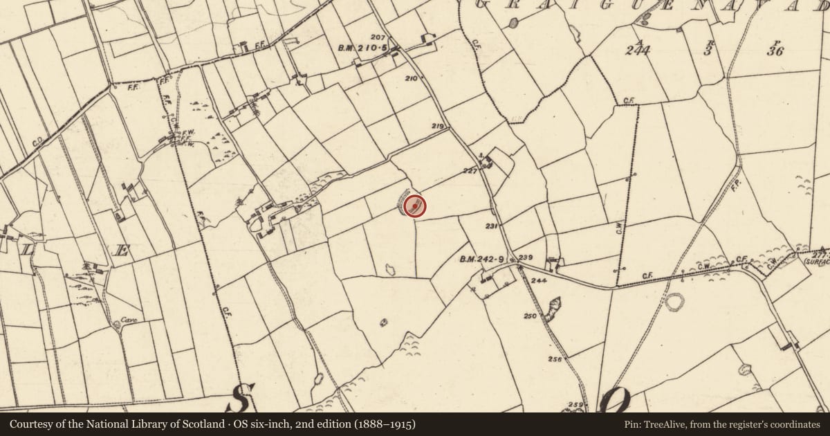 Ordnance Survey six-inch map, 2nd edition (1888–1915) covering the location of Enclosure, Caltra, County Galway, with a pin at the register's coordinates