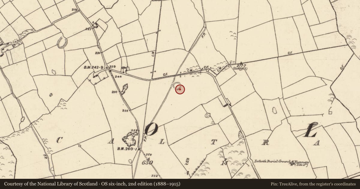 Ordnance Survey six-inch map, 2nd edition (1888–1915) covering the location of Ringfort - unclassified, Caltra, County Galway, with a pin at the register's coordinates