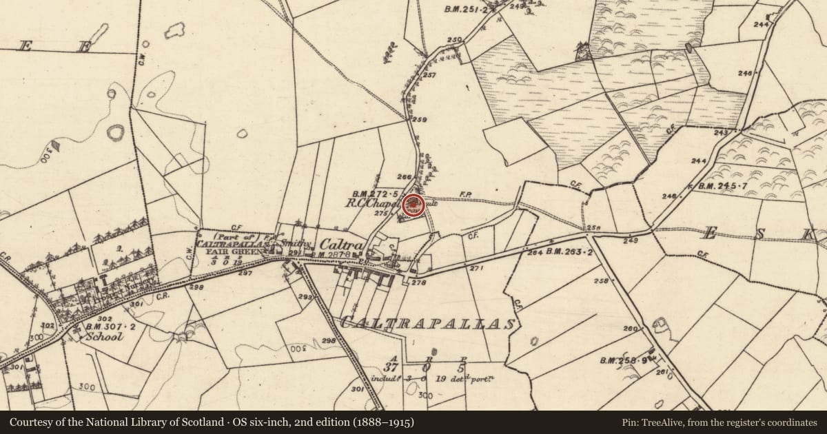 Ordnance Survey six-inch map, 2nd edition (1888–1915) covering the location of Church, Caltra, County Galway, with a pin at the register's coordinates