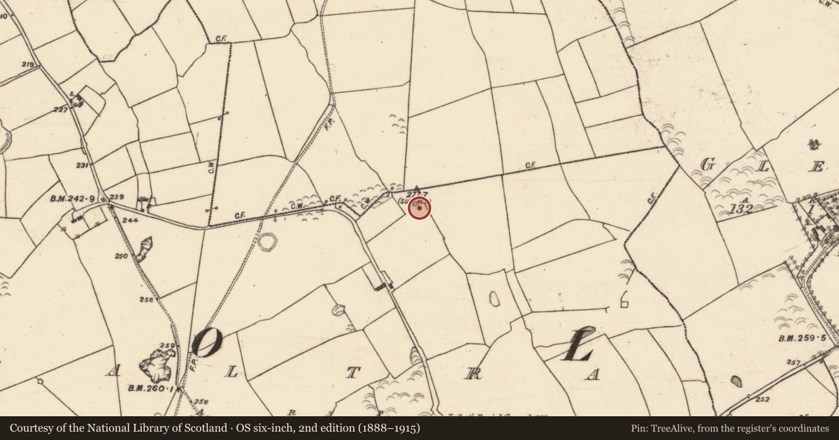 Ordnance Survey six-inch map, 2nd edition (1888–1915) covering the location of Quarry, Caltra, County Galway, with a pin at the register's coordinates