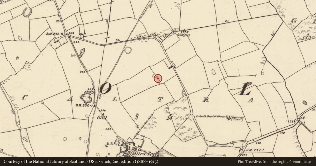 Ordnance Survey six-inch map, 2nd edition (1888–1915) covering the location of Quarry, Caltra, County Galway, with a pin at the register's coordinates