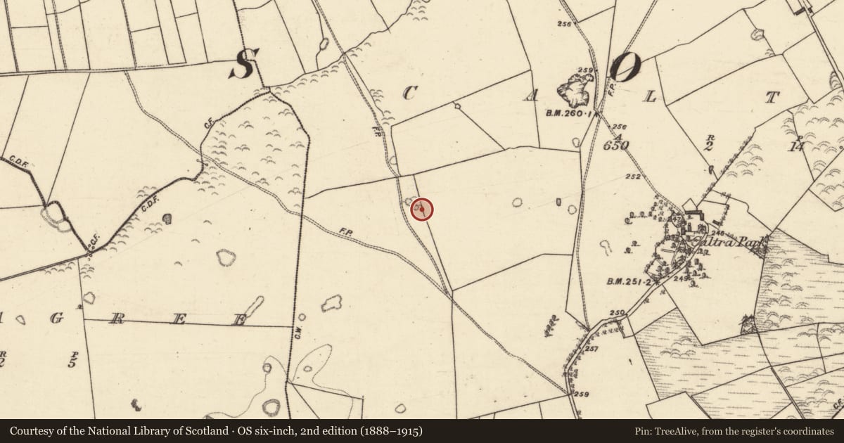 Ordnance Survey six-inch map, 2nd edition (1888–1915) covering the location of Quarry, Caltra, County Galway, with a pin at the register's coordinates