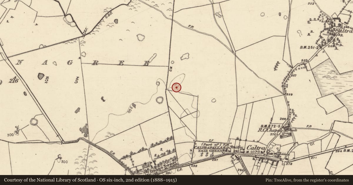 Ordnance Survey six-inch map, 2nd edition (1888–1915) covering the location of Quarry, Caltra, County Galway, with a pin at the register's coordinates