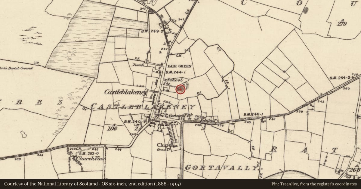 Ordnance Survey six-inch map, 2nd edition (1888–1915) covering the location of Enclosure, Castleblakeney, County Galway, with a pin at the register's coordinates