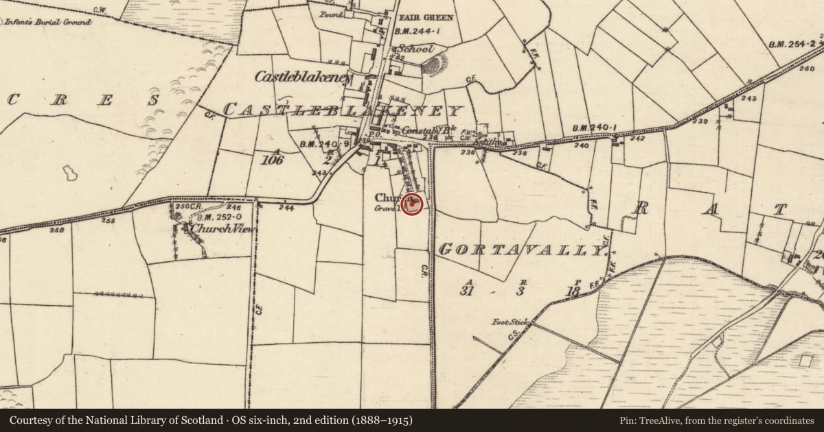 Ordnance Survey six-inch map, 2nd edition (1888–1915) covering the location of Church, Castleblakeney, County Galway, with a pin at the register's coordinates
