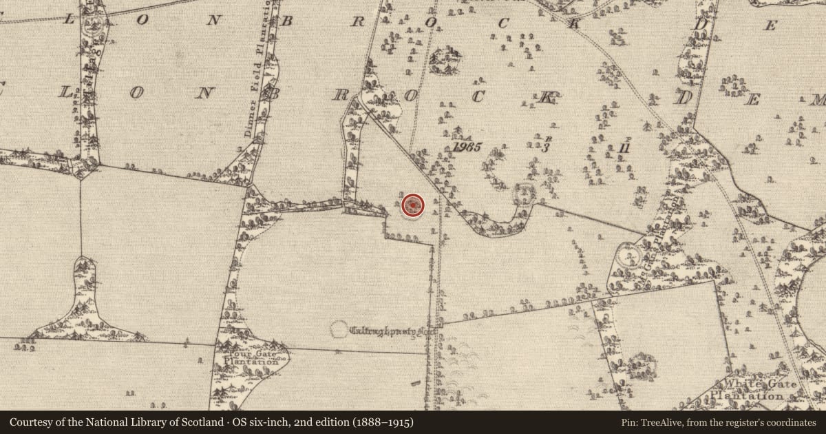 Ordnance Survey six-inch map, 2nd edition (1888–1915) covering the location of Ringfort - unclassified, Clonbrock Demesne, County Galway, with a pin at the register's coordinates