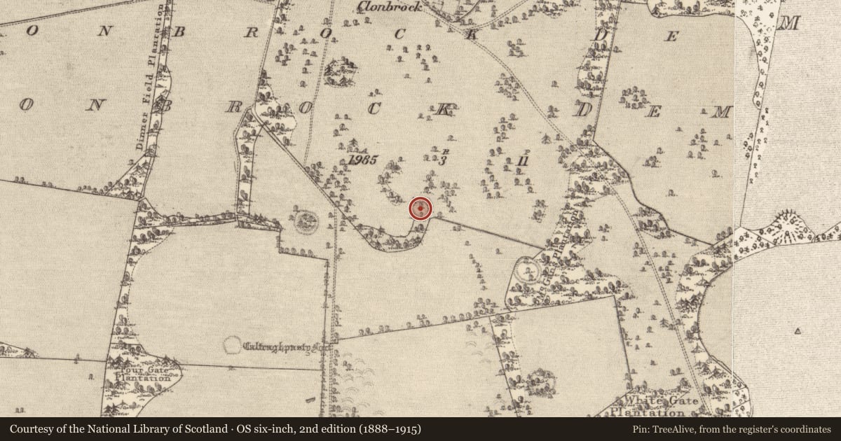 Ordnance Survey six-inch map, 2nd edition (1888–1915) covering the location of Ringfort - rath, Clonbrock Demesne, County Galway, with a pin at the register's coordinates