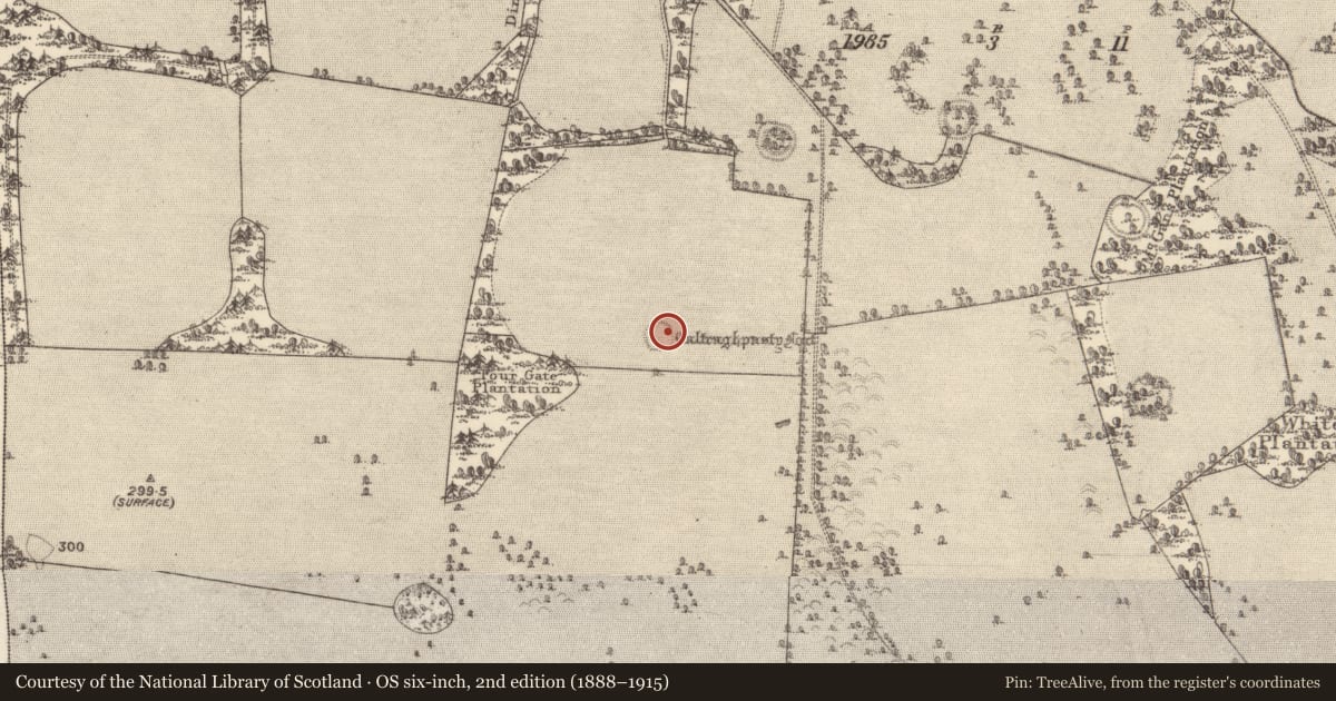 Ordnance Survey six-inch map, 2nd edition (1888–1915) covering the location of Enclosure, Clonbrock Demesne, County Galway, with a pin at the register's coordinates