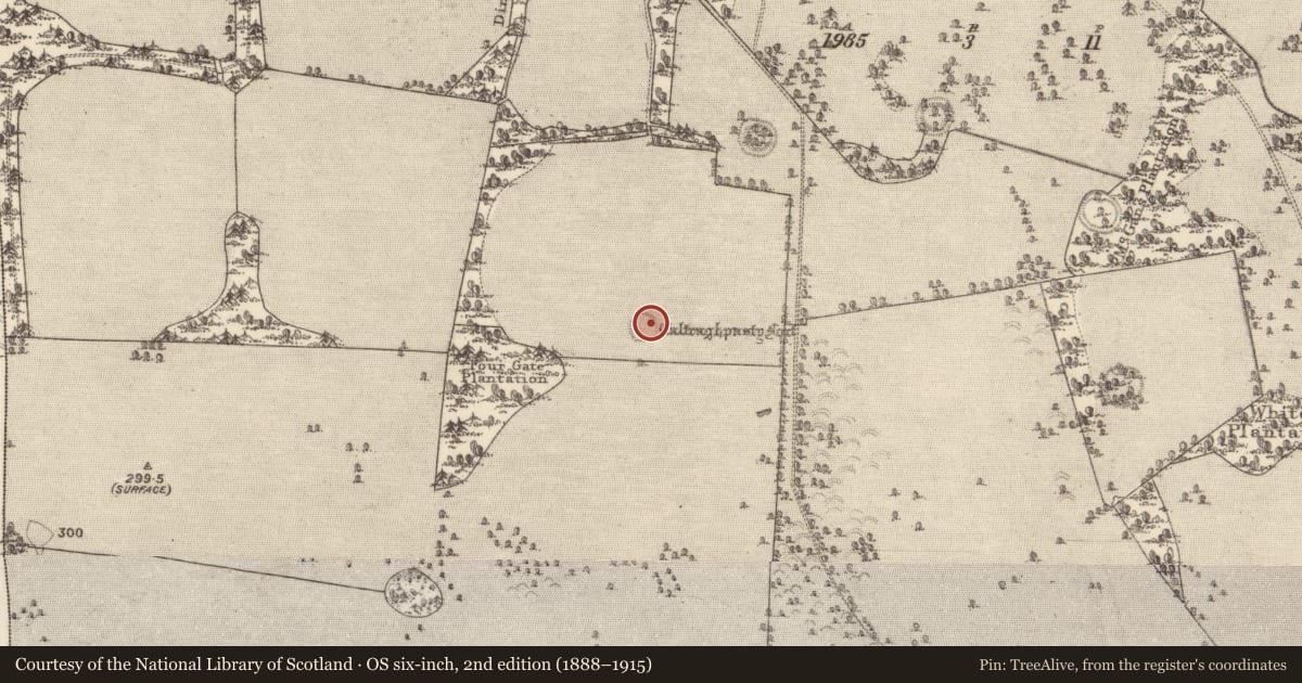 Ordnance Survey six-inch map, 2nd edition (1888–1915) covering the location of Children's burial ground, Clonbrock Demesne, County Galway, with a pin at the register's coordinates