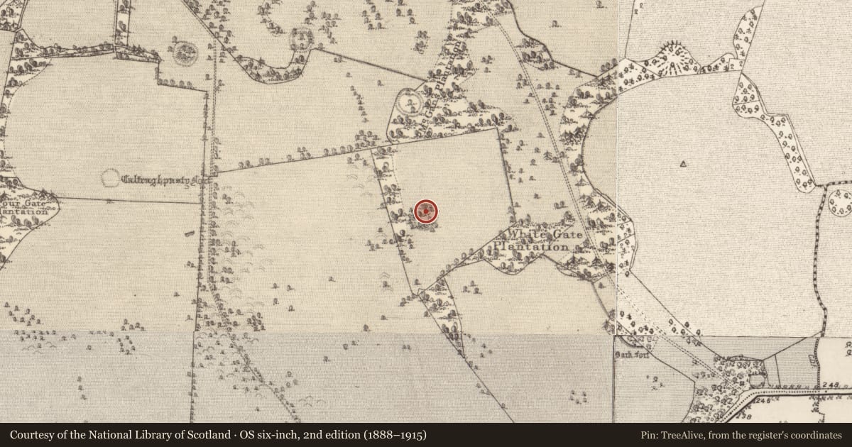Ordnance Survey six-inch map, 2nd edition (1888–1915) covering the location of Ringfort - unclassified, Clonbrock Demesne, County Galway, with a pin at the register's coordinates