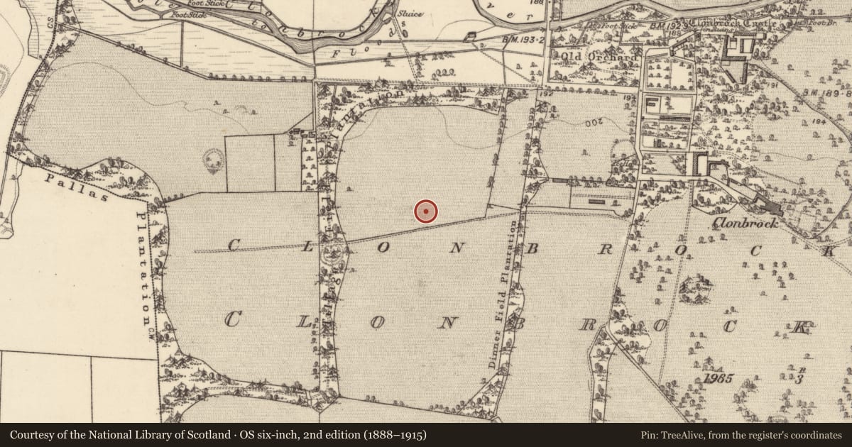 Ordnance Survey six-inch map, 2nd edition (1888–1915) covering the location of Ringfort - rath, Clonbrock Demesne, County Galway, with a pin at the register's coordinates
