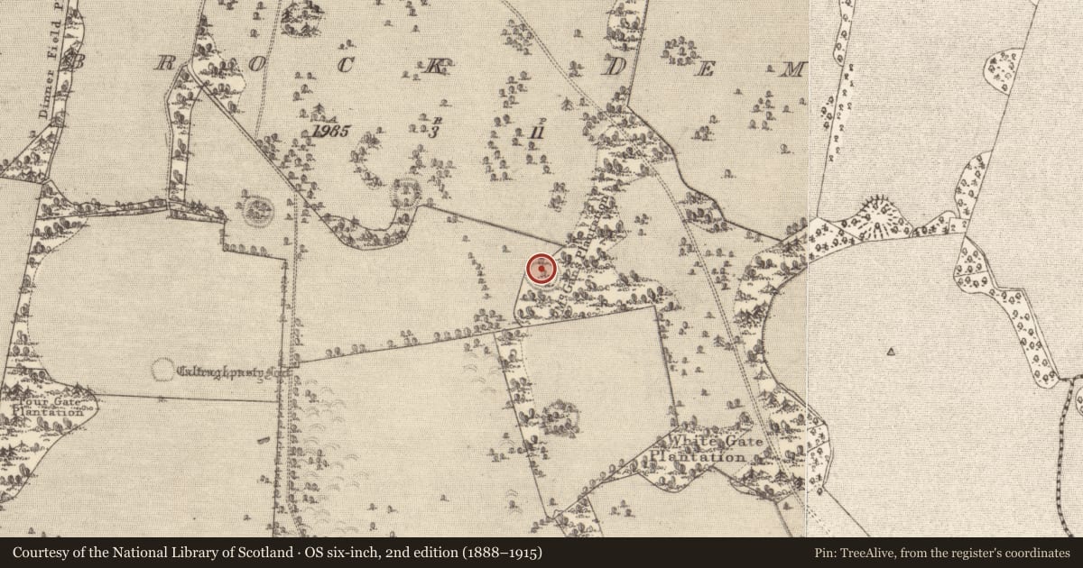 Ordnance Survey six-inch map, 2nd edition (1888–1915) covering the location of Ringfort - unclassified, Clonbrock Demesne, County Galway, with a pin at the register's coordinates