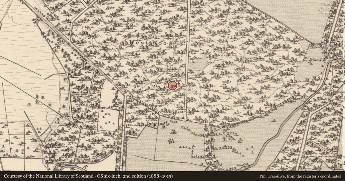 Ordnance Survey six-inch map, 2nd edition (1888–1915) covering the location of Enclosure, Clonbrock Demesne, County Galway, with a pin at the register's coordinates