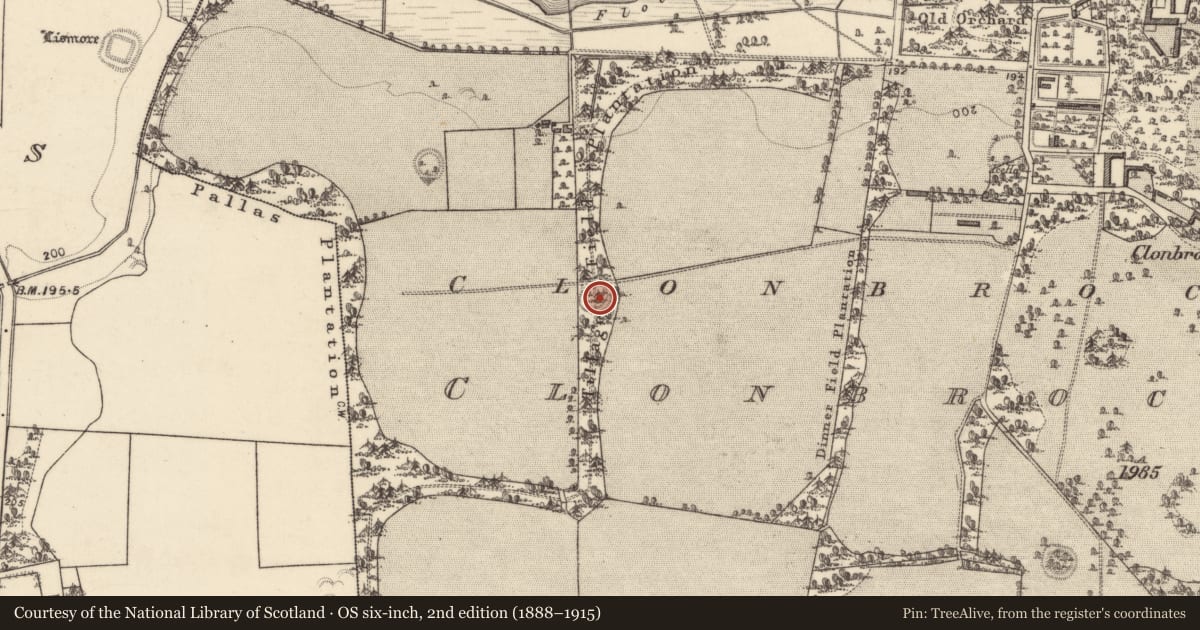 Ordnance Survey six-inch map, 2nd edition (1888–1915) covering the location of Ringfort - unclassified, Clonbrock Demesne, County Galway, with a pin at the register's coordinates