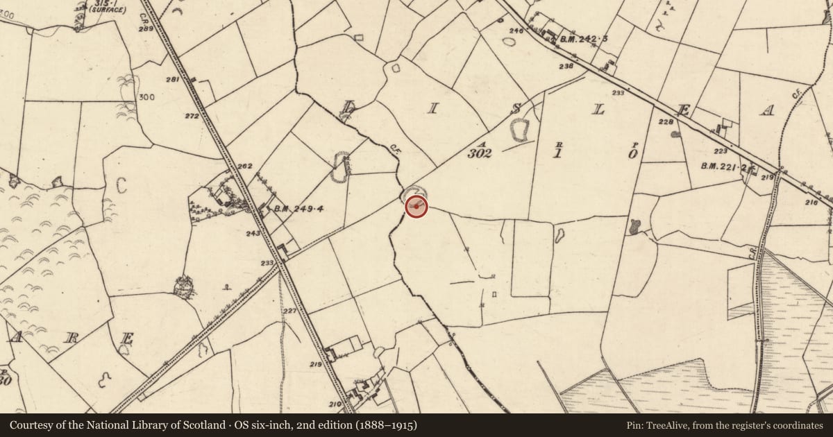 Ordnance Survey six-inch map, 2nd edition (1888–1915) covering the location of Ringfort - unclassified, Creggaunnagroagh, Lislea, County Galway, with a pin at the register's coordinates