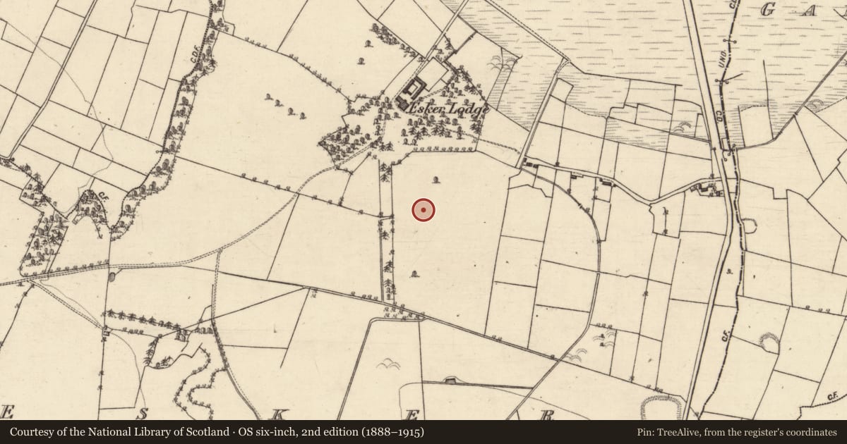 Ordnance Survey six-inch map, 2nd edition (1888–1915) covering the location of Enclosure, Esker, County Galway, with a pin at the register's coordinates