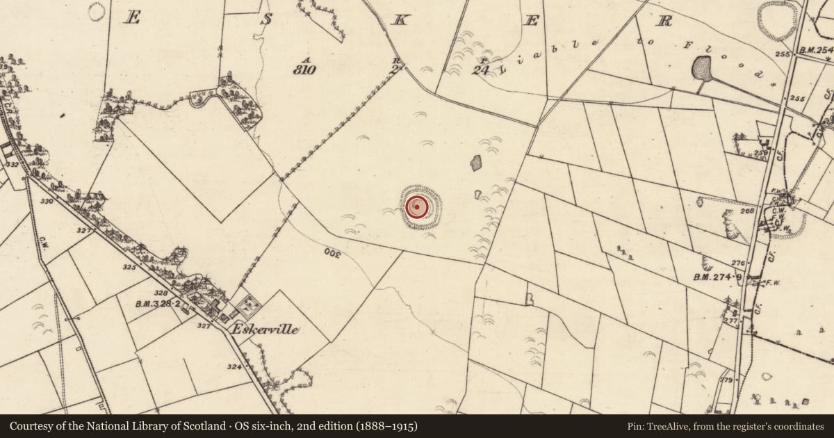 Ordnance Survey six-inch map, 2nd edition (1888–1915) covering the location of Ringfort - rath, Esker, County Galway, with a pin at the register's coordinates