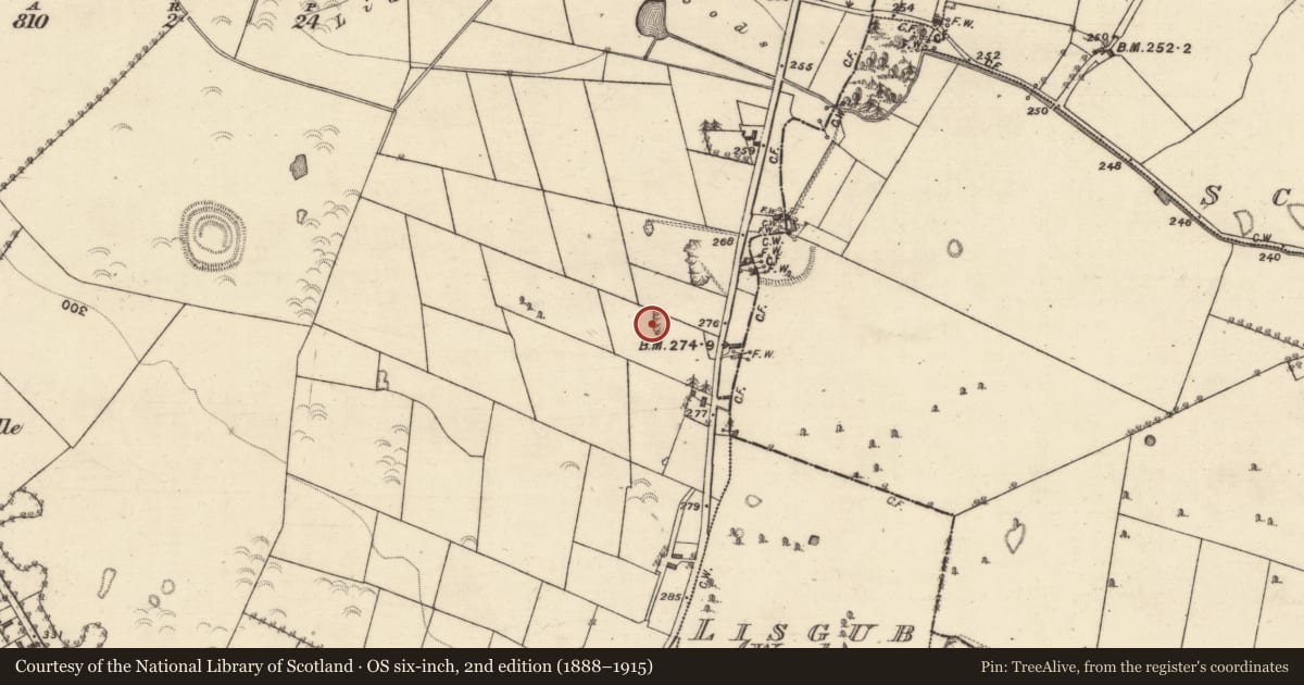 Ordnance Survey six-inch map, 2nd edition (1888–1915) covering the location of Quarry, Esker, County Galway, with a pin at the register's coordinates