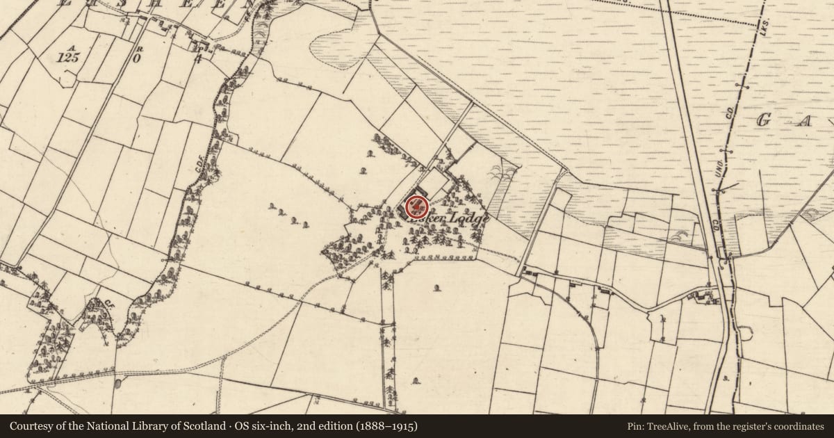 Ordnance Survey six-inch map, 2nd edition (1888–1915) covering the location of Country house, Esker, County Galway, with a pin at the register's coordinates