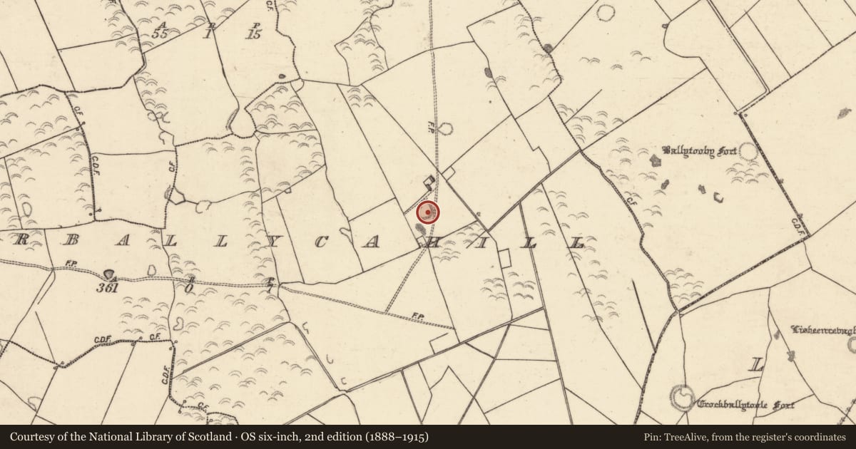 Ordnance Survey six-inch map, 2nd edition (1888–1915) covering the location of Ringfort - unclassified, Eskerballycahill, County Galway, with a pin at the register's coordinates
