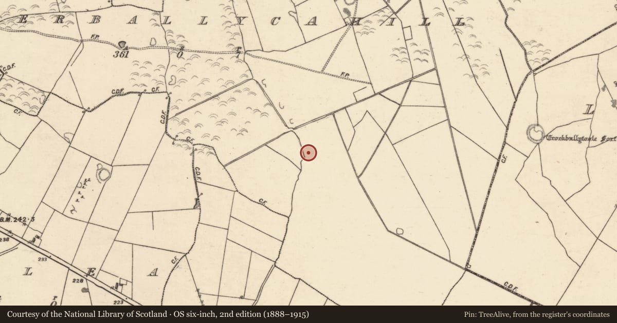 Ordnance Survey six-inch map, 2nd edition (1888–1915) covering the location of Souterrain, Eskerballycahill, County Galway, with a pin at the register's coordinates