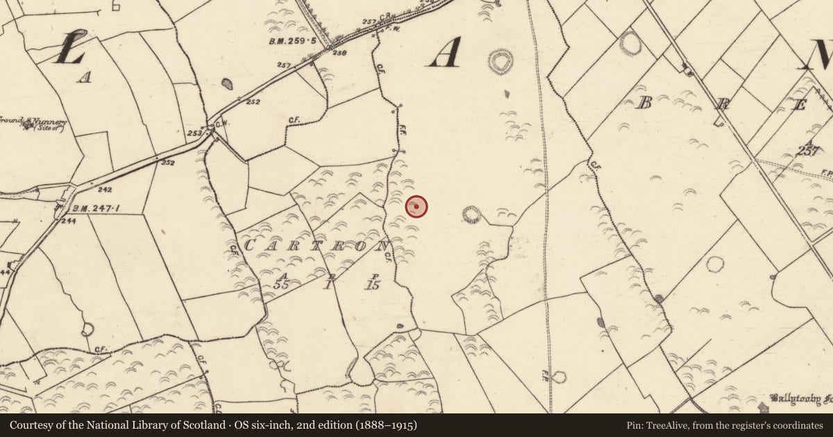 Ordnance Survey six-inch map, 2nd edition (1888–1915) covering the location of Quarry, Eskerballycahill, County Galway, with a pin at the register's coordinates