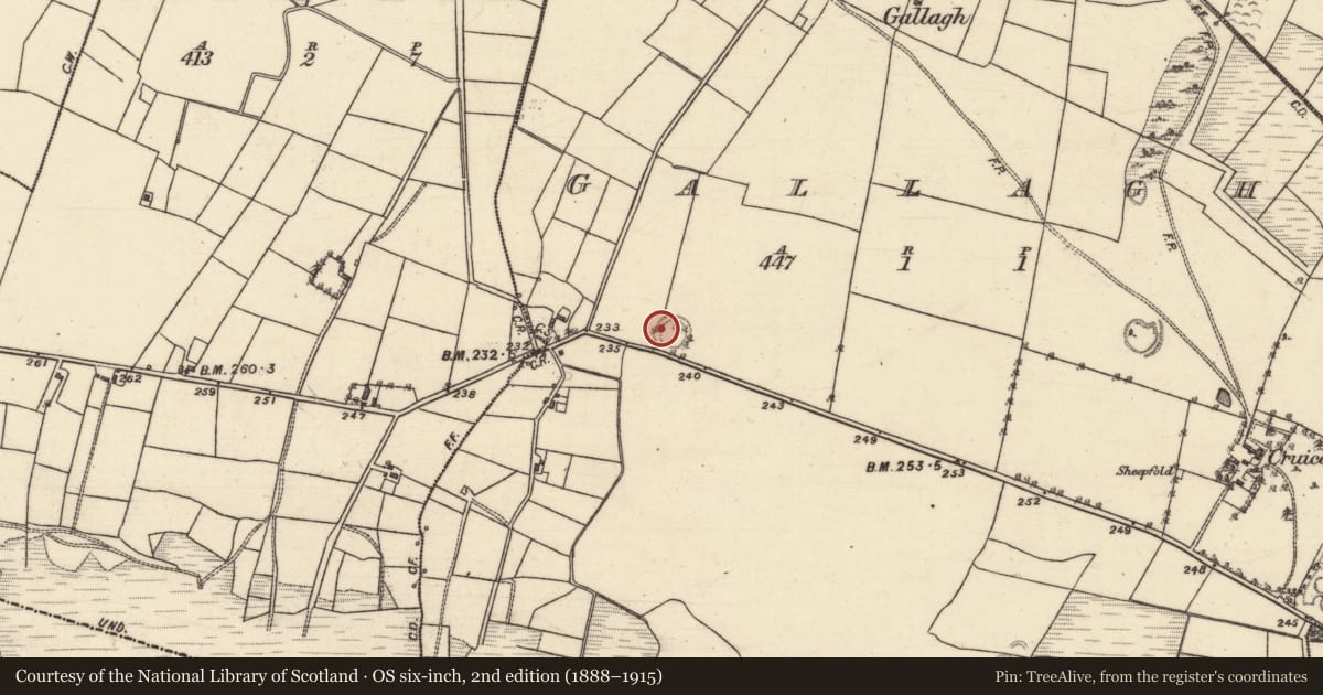 Ordnance Survey six-inch map, 2nd edition (1888–1915) covering the location of Ringfort - unclassified, Gallagh, County Galway, with a pin at the register's coordinates