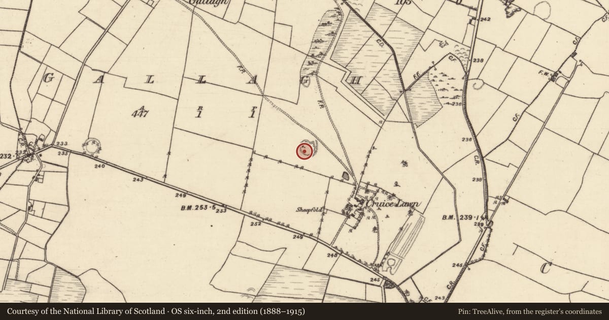 Ordnance Survey six-inch map, 2nd edition (1888–1915) covering the location of Ringfort - unclassified, Gallagh, County Galway, with a pin at the register's coordinates