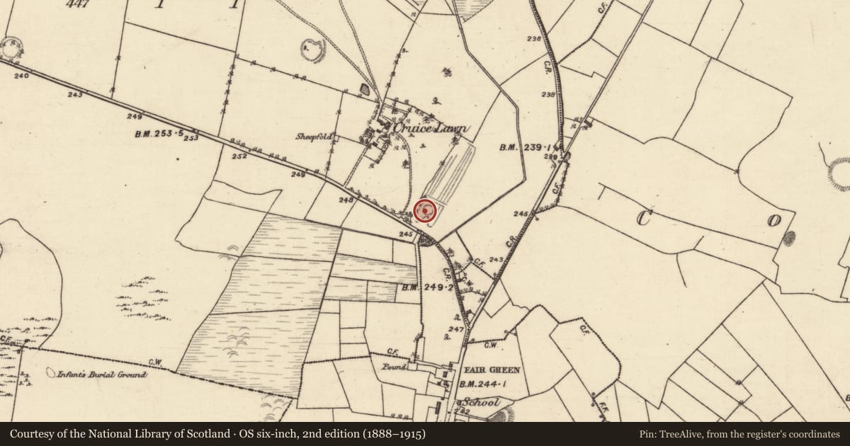 Ordnance Survey six-inch map, 2nd edition (1888–1915) covering the location of Castle - unclassified, Gallagh, County Galway, with a pin at the register's coordinates