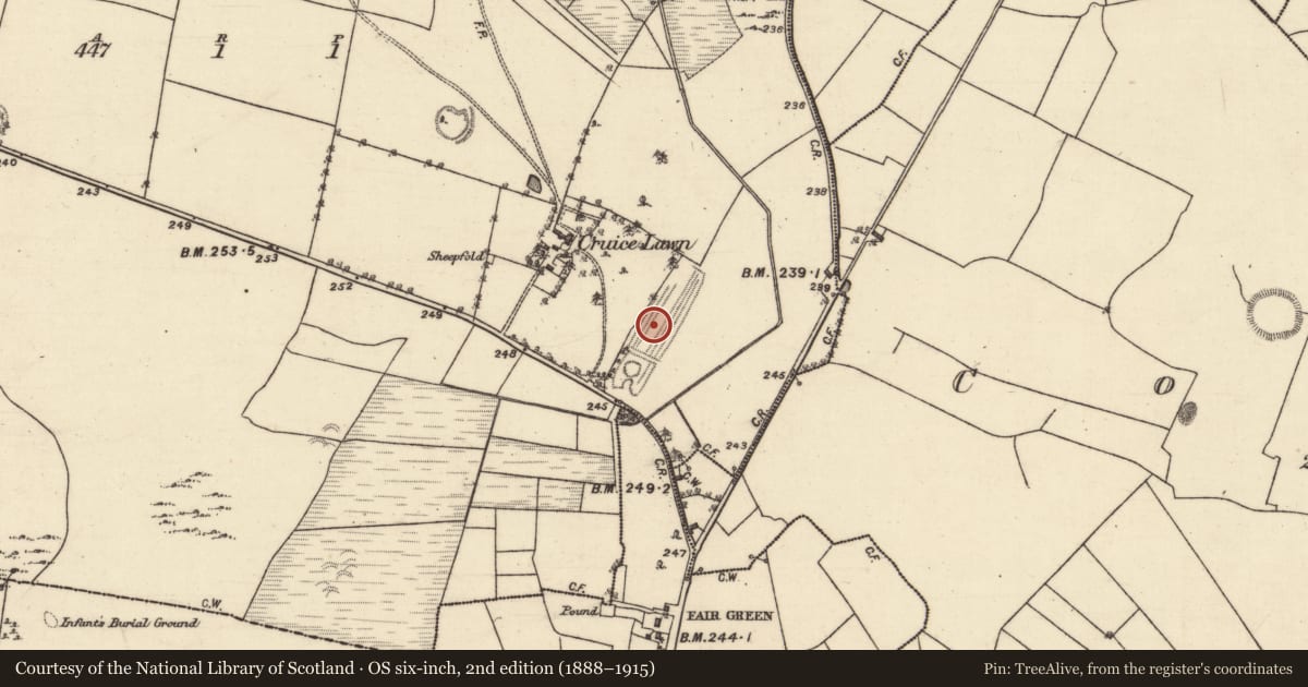 Ordnance Survey six-inch map, 2nd edition (1888–1915) covering the location of Earthwork, Gallagh, County Galway, with a pin at the register's coordinates