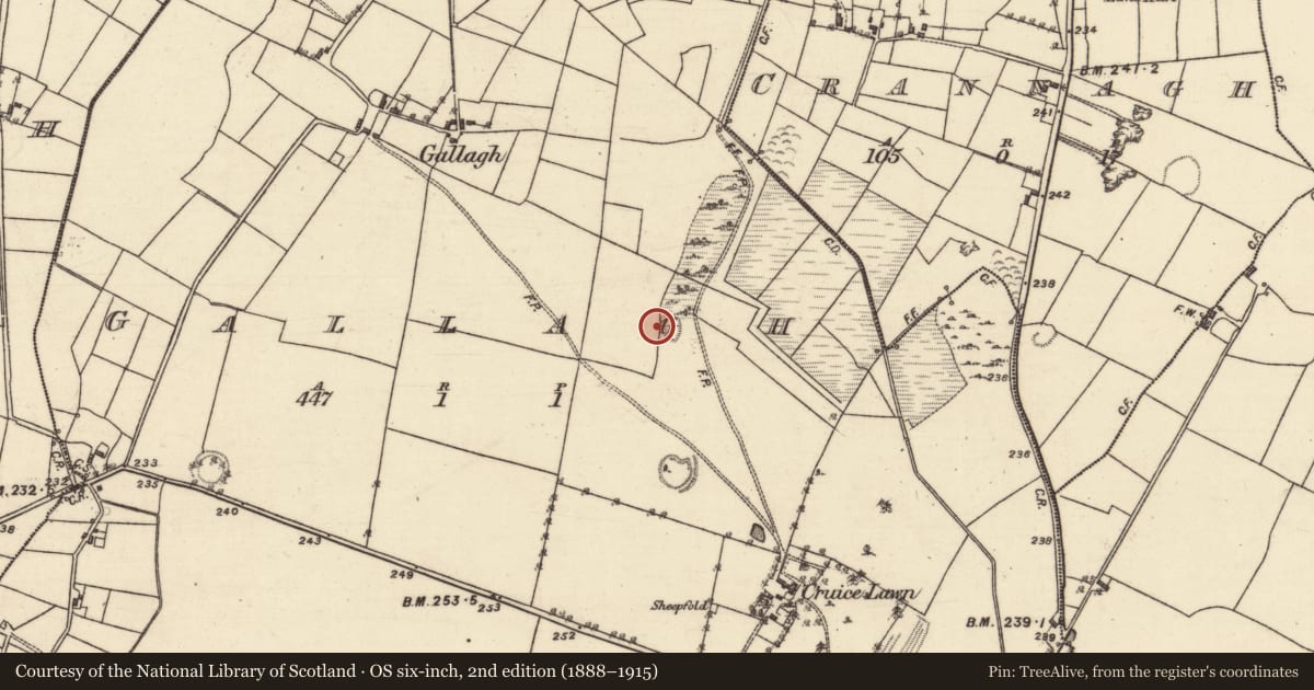 Ordnance Survey six-inch map, 2nd edition (1888–1915) covering the location of Quarry, Gallagh, County Galway, with a pin at the register's coordinates
